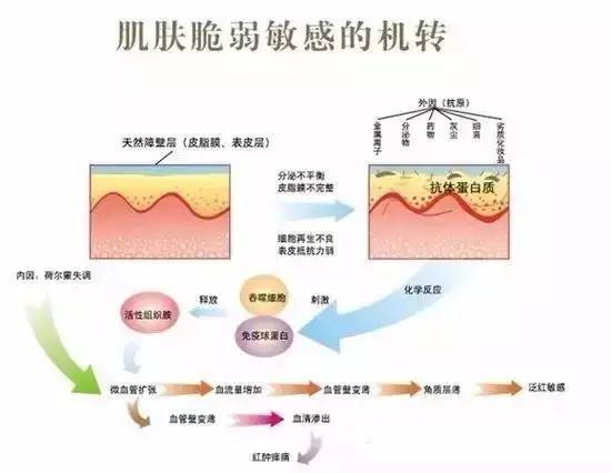 果爾佳簽約廣州達(dá)意隆包裝機(jī)械股份有限公司鋼結(jié)構(gòu)屋面防水工程