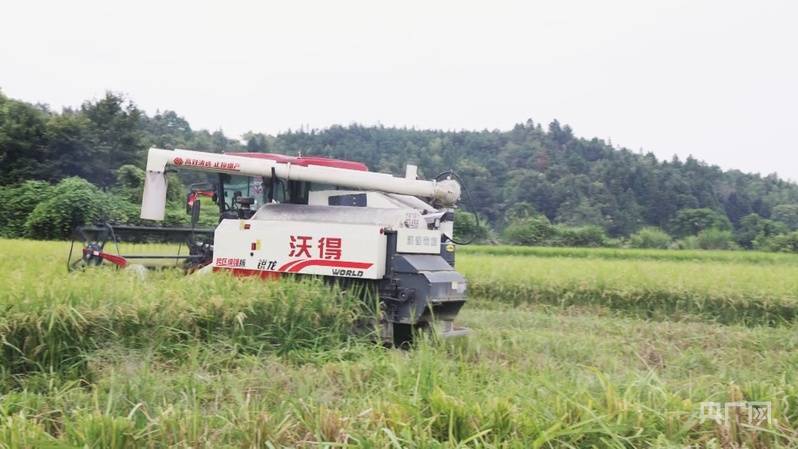 鄭州耐磨噸袋包裝機(jī)